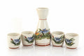 Japanese ceramic shake bottle and cup set