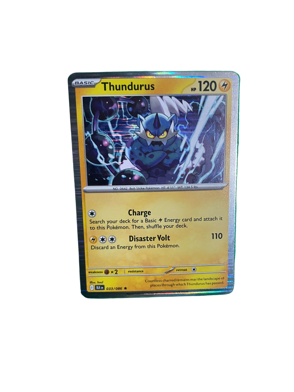 Holo Thundurus